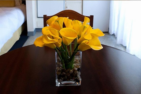 Coral Reef Inn & Condo Suites image 14